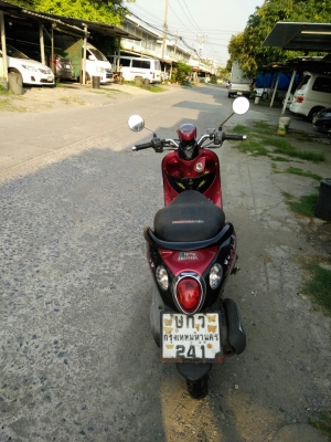 ขายคับ ฟีโน่ปี53