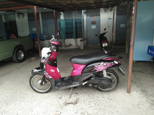 ขายคับ ฟีโน่ปี53