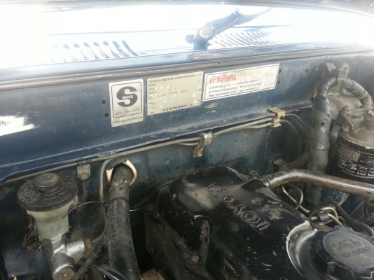 ไมตี้ หัวเดียว พร้อมใช้