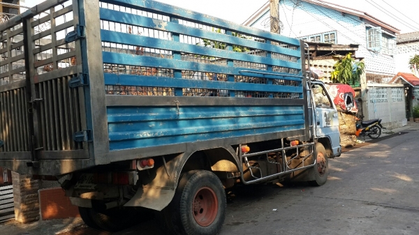 รถบรรทุกหกล้อดั้ม ISUZU NPR135 กระบะสแตนเลสทั้งใบทนทานแข็งแรงพร้อมใช้งาน