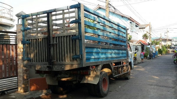 รถบรรทุกหกล้อดั้ม ISUZU NPR135 กระบะสแตนเลสทั้งใบทนทานแข็งแรงพร้อมใช้งาน