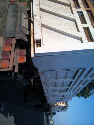 หลงแม่ลูก