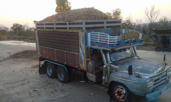 ดั้มหัวยาวคอกเกษตร