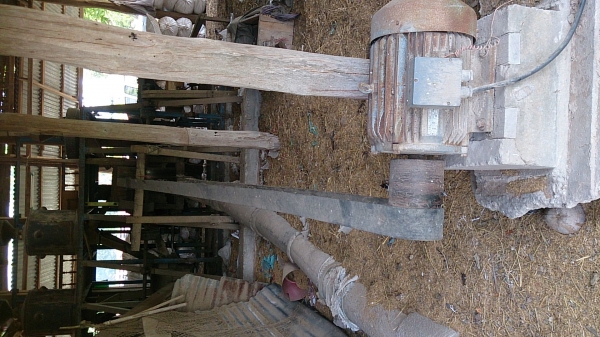 ขายโรงสีข้าว