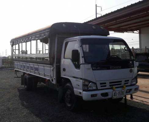 หกล้อ อีซูชุ NQR150ปี51ช่วงยาว5.50ม มีหลังคา"รับส่ง-พนังาน รถสภาพดีสวยเดิมๆไม่เคยบรรทุกหนัก เล่มทะเบียนพร้อมโอน