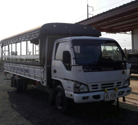 หกล้อ อีซูชุ NQR150ปี51ช่วงยาว5.50ม มีหลังคา"รับส่ง-พนังาน รถสภาพดีสวยเดิมๆไม่เคยบรรทุกหนัก เล่มทะเบียนพร้อมโอน