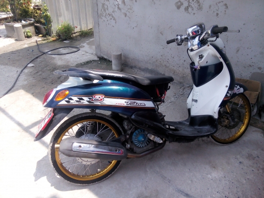 ขายฟีโน ท.บ คบ