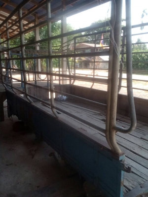 ขาา 65000 บาท ทะเบียนพร้อมโอน