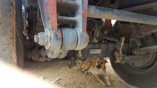 ขายหาง กล้วยหอม  KEC - 3 เพลา. แท้. / ปี 56.   สนใจติดต่อ  081 - 6079515