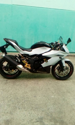 Kawasaki ninja 250sl