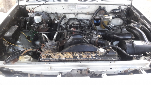 ไมตี้เอ็ก แค็ป ปี2538 ราคา 79000 หรือดาวน์ 15,000 บาทเท่านั้น ไมตี้เอ็ก แค็ป ปี2538 ราคา 79000 หรือดาวน์ 15,000 บาทเท่านั้น