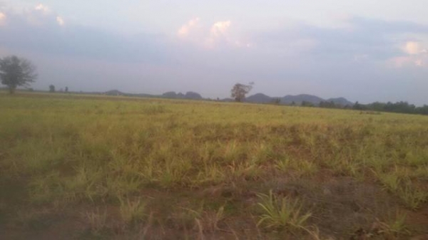 ขายที่ดินสวย 40 ไร่ ติดถนนสาธารณะ ทางเข้าออกสะดวก