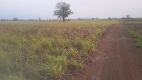 ขายที่ดินสวย 40 ไร่ ติดถนนสาธารณะ ทางเข้าออกสะดวก