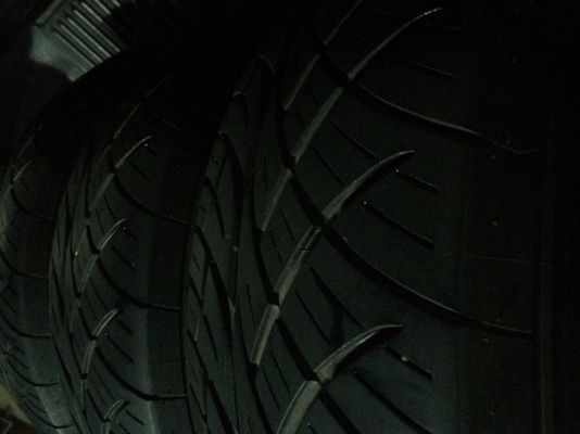 NITTO 420S ดอกแน่นๆพร้อมใช้งาน