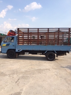 ขายรถกระบะบรรทุกISUZU NKR 110