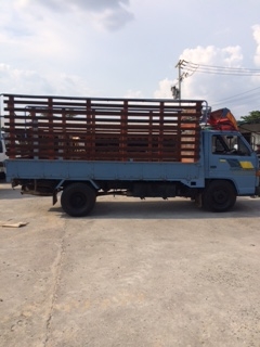 ขายรถกระบะบรรทุกISUZU NKR 110