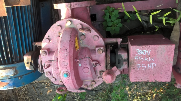 ขายมอเตอร์+ปั๊มน้ำขนาดใหญ่