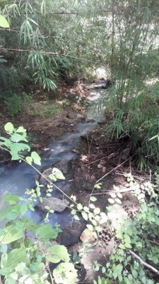 ขายที่ดิน อ.เลาขวัญ จ.กาญจนบุรี ใบ ภบท.5 ขายที่ดิน อ.เลาขวัญ จ.กาญจนบุรี ใบ ภบท.5