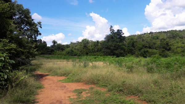 ขายที่ดิน อ.เลาขวัญ จ.กาญจนบุรี ใบ ภบท.5 ขายที่ดิน อ.เลาขวัญ จ.กาญจนบุรี ใบ ภบท.5