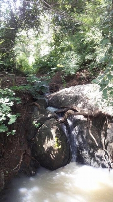 ขายที่ดิน อ.เลาขวัญ จ.กาญจนบุรี ใบ ภบท.5 ขายที่ดิน อ.เลาขวัญ จ.กาญจนบุรี ใบ ภบท.5