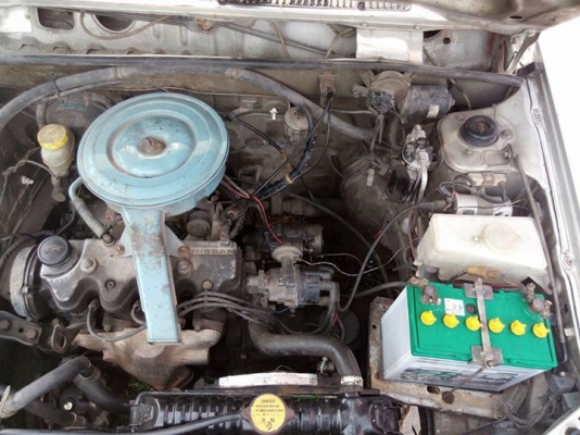 ขายนิสสัน  ซันนี่ b11