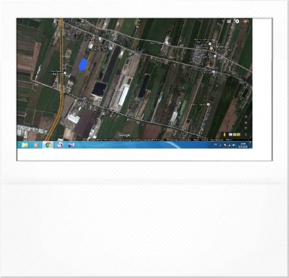 ขายที่ดิน 600 ตร.วา ติดถนนตัดใหม่วงแหวน ขายที่ดิน 600 ตร.วา ติดถนนตัดใหม่วงแหวน