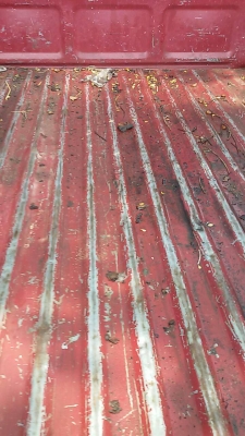 โตโยต้า มายตี้เอ็ก