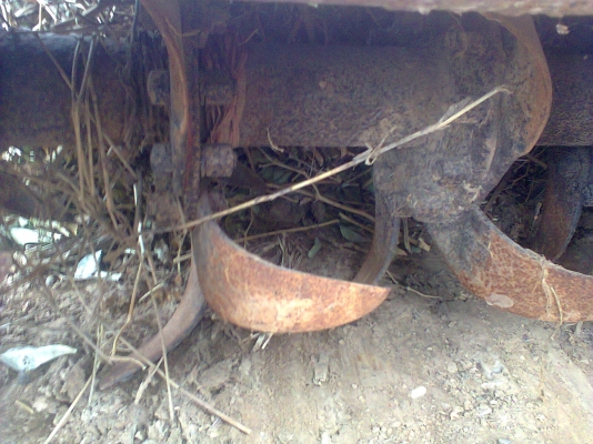 โลตาลี่ตราช้างเมตร60