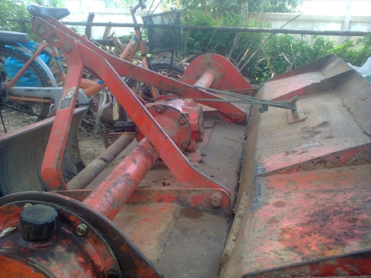 โลตาลี่ตราช้างเมตร60