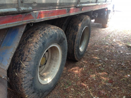 ฝากขาย  10 ล้อเพลาเดียว  HINO  FL3H  พร้อมงานวิ่งอาหารสัตว์ แบทาโก