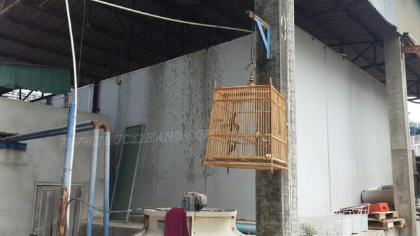 ห้องเย็น มีเครื่องทำความเย็น   จำนวน 120-150 คิว ขายยกชุดพร้อมระบบทำความเย็น