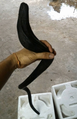 ไม้ครูคฑาพญานิลนาค ดวงตาสองข้างเป็นพลอยดำเสก ไม้พิเศษสลักลายพื้นบ้านทั่วทั้งลำ ใช้ตกแต่งร้านค้า หรือเสริมดวงหนุนดวงผู้ครอบครอง สร้างเพียงชิ้นเดียว