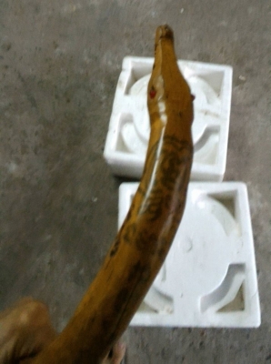 ไม้ครูคฑาเทพจำแลง จารยันต์ทั่วทั้งลำ อุดผง อุดพลอยเสก อุดผงพุทธคุณ 3จุด ใช้ตกแต่งร้านค้า หรือเสริมดวงหนุนดวงผู้ครอบครอง สร้างเพียงชิ้นเดียว