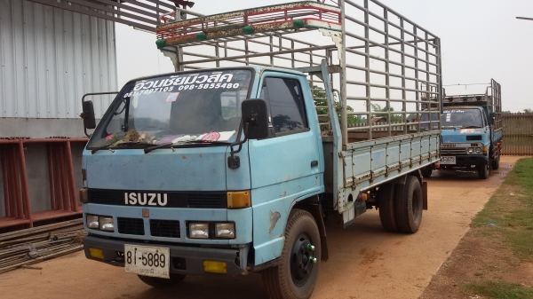 ISUZU NKR110 4.3 เมตร ห้าง (เจ้าของขายเอง)