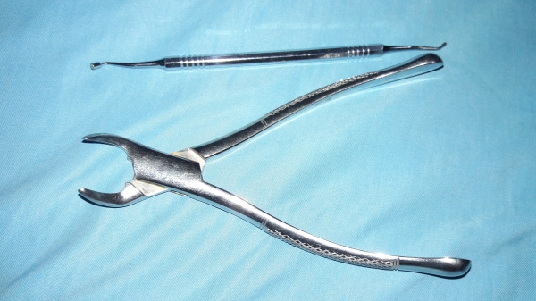 ขายคีมคีบสแตนเลสและที่เคาะสแตนเลสงานนอกงานดีมาก ขายคีมคีบสแตนเลสและที่เคาะสแตนเลสงานนอกงานดีมาก