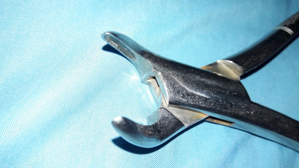 ขายคีมคีบสแตนเลสและที่เคาะสแตนเลสงานนอกงานดีมาก ขายคีมคีบสแตนเลสและที่เคาะสแตนเลสงานนอกงานดีมาก