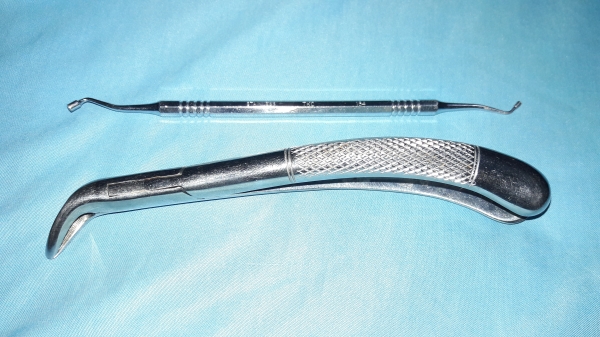 ขายคีมคีบสแตนเลสและที่เคาะสแตนเลสงานนอกงานดีมาก ขายคีมคีบสแตนเลสและที่เคาะสแตนเลสงานนอกงานดีมาก