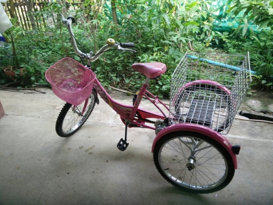 ขายจักรยานสามล้อไฟฟ้ามือสอง