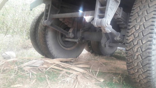 ขายหางพื้นเรียบพนัส ขายหางพื้นเรียบพนัส