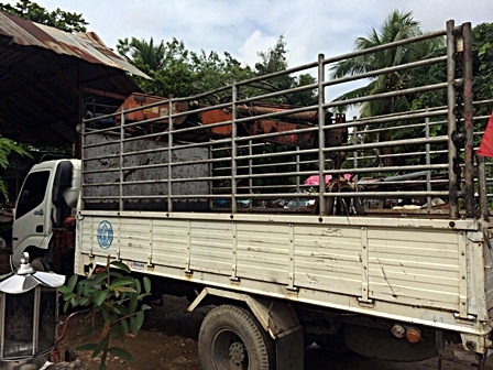 ขาย รถ 6 ล้อ Hino 136 แรงม้า ปี 54 พร้อม เฮียบ คีบเหล็ก