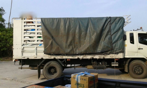 รถมิตซู 6 ล้อ ( ไม่ดั้ม )  240 แรงม้า. ปี 53. ( ยูโร 3. )   สนใจติดต่อ  081 - 6079515