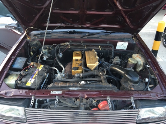 คาเมโอแต่งแนวอเมริกันแม็ก20