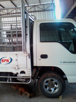 ขายรถ6ล้อเล็กไม่ติดเวลา  0923181684