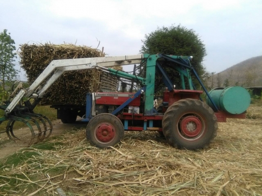 รถคีบ แมสซี่ 390 (massey ferguson)