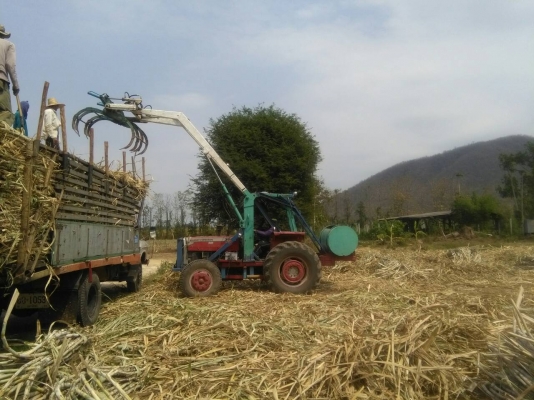 รถคีบ แมสซี่ 390 (massey ferguson)