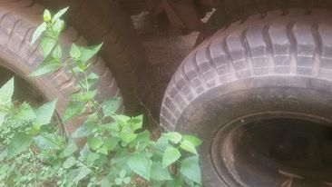 เหลือ1หางครับยาว9ม.ราคาตัด125000บาท