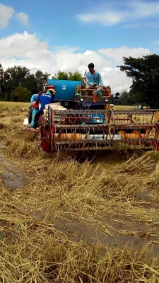 ขายรถเกี่ยวข้าว ศักดิ์พัฒนา