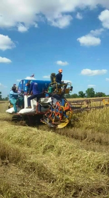 ขายรถเกี่ยวข้าว ศักดิ์พัฒนา