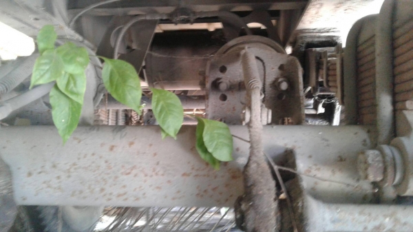 ขายหางพื้นเรียบสามมิตร 3 เพลาปี 2553 ยาว 12 เมตร ราคา 360000