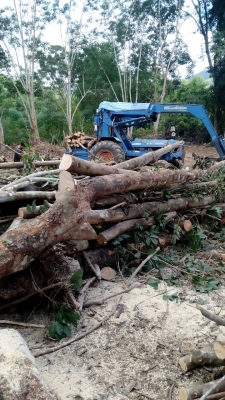 ขายรถไถคีปไม้ FORD 6600 เพลาเดี่ยว เอกสารเล่มทะเบียน ราคา 450000